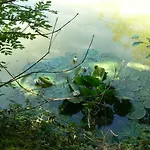 La Maison De L'etang 3* Sampigny