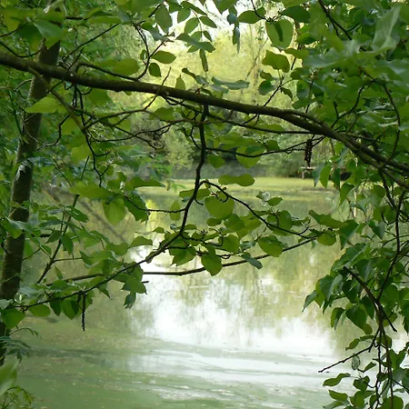 La Maison De L'etang Sampigny