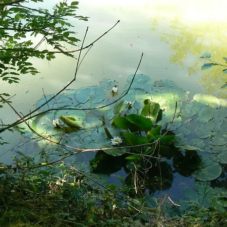 La Maison De L'etang 3* Sampigny