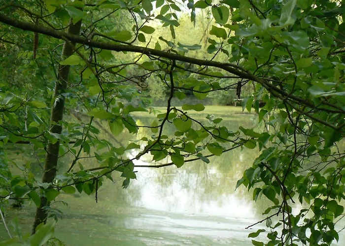 La Maison De L'etang Sampigny