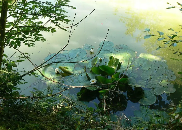 La Maison De L'etang 3* Sampigny