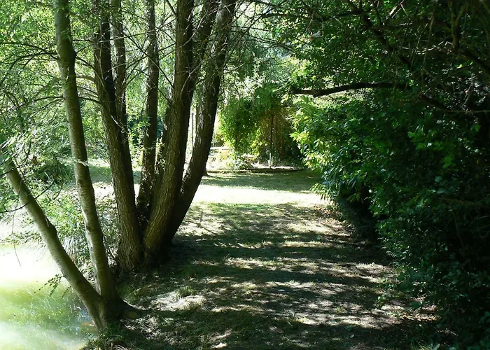 La Maison De L'etang Bed & Breakfast Sampigny